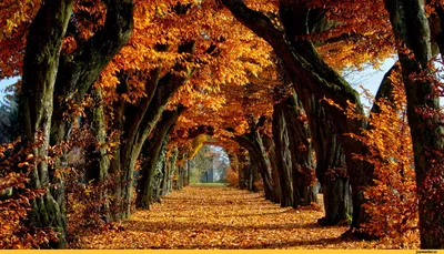 Картинки природа на рабочий стол 1920х1080 (100 фото) • Прикольные картинки  и позитив