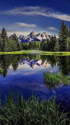 Nature screensavers (63 photos) | Пейзажи, Натуральный, Фотография природы