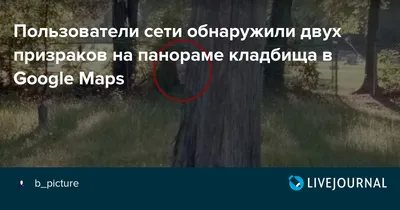 Картинки ночь, призраки, ворота, кладбище - обои 2560x1440, картинка №422718