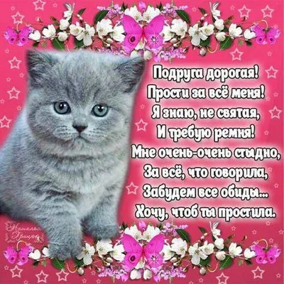 Почему я ненавижу девушек, и почему у меня сильная обида на них? Часть 4 |  Пикабу