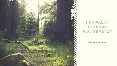 Фон рабочего стола где видно autumn, park, lake, nature, trees, осень,  парк, озеро, природа, деревья