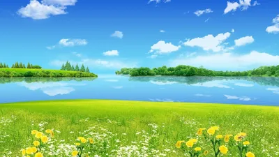 Скачать обои море, зелень, небо, вода, солнце, деревья, пейзаж, закат,  цветы, скамейка, природа, река, фон, дерево, widescreen, обои, ра… |  Пейзажи, Закаты, Природа