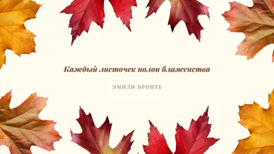 Обои на рабочий стол Солнце освещает природу, фотограф Konczak Bartosz,  обои для рабочего стола, скачать обои, обои бесплатно