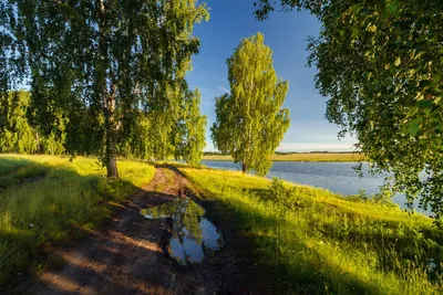 Природа бесплатно » DreemPics.com - картинки и рисунки на рабочий стол  бесплатно