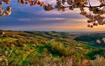 Vesna обои для рабочего стола, картинки и фото