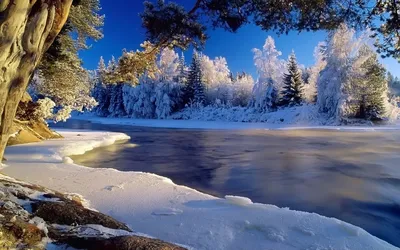 Обои Природа Зима, обои для рабочего стола, фотографии природа, зима, снег,  норвегия, деревья, солнце, мороз, naglestadheia Обои для рабочего стола,  скачать обои картинки заставки на рабочий стол.