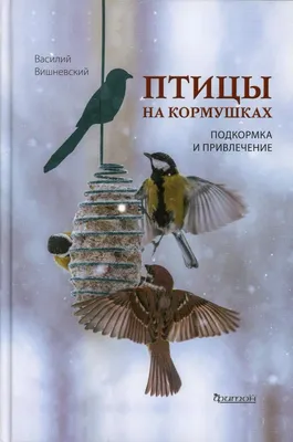 Кормушка для птиц деревянная, домик для птиц - купить с доставкой по  выгодным ценам в интернет-магазине OZON (558821980)