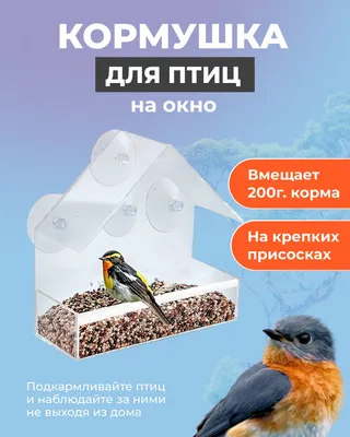 Кормушка для птиц на окно подвесная уличная на присосках Miliart 43741889  купить в интернет-магазине Wildberries