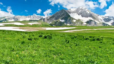 Vesna обои для рабочего стола, картинки и фото