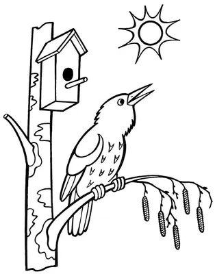 Раскраски весна для детей | Flower coloring pages, Tree coloring page,  Spring coloring pages