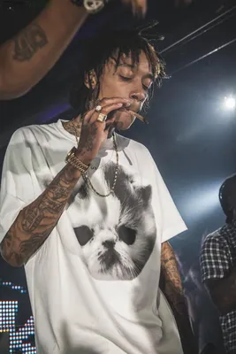 Wiz Khalifa » Архив » Wiz Khalifa настолько крут, что играет во “Fruit  Ninja” настоящей катаной