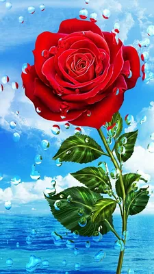 Wallpapers for iPhone by @katerina.myshkina_ | Обои для телефона, Обои  фоны, Обои для ipod