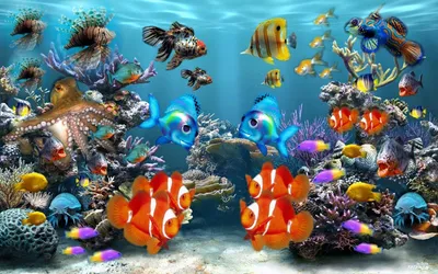 живые обои с рыбками на рабочий стол скачать бесплатно | Moving wallpapers,  Fish wallpaper, 3d wallpaper for laptop