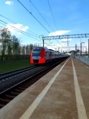 СберСпасибо