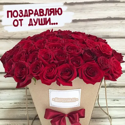 Нежный букет на день рождения | доставка по Москве и области