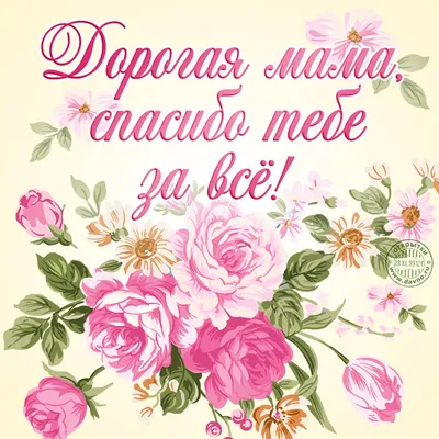 Подборка сценариев ко Дню матери | Родительский университет | Дзен