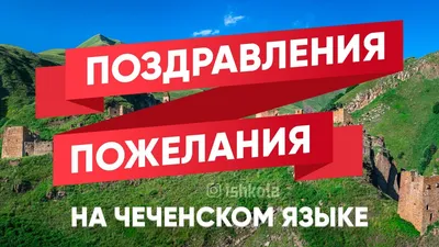 с днём рождения марха на чеченском｜Поиск в TikTok
