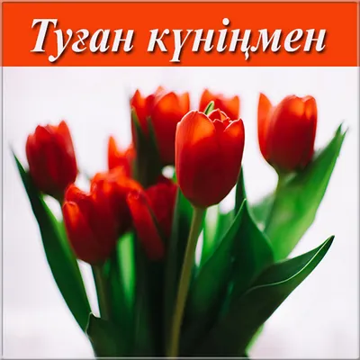 Картинки с днем рождения на казахском языке фотографии