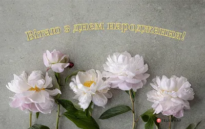 Pin by Ольга Семеренко on день рождения | Happy birthday greetings, Happy  birthday wishes, Birthday wishes