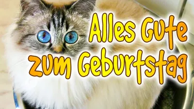 День рождения: полезные слова и выражения - Mein Deutsch