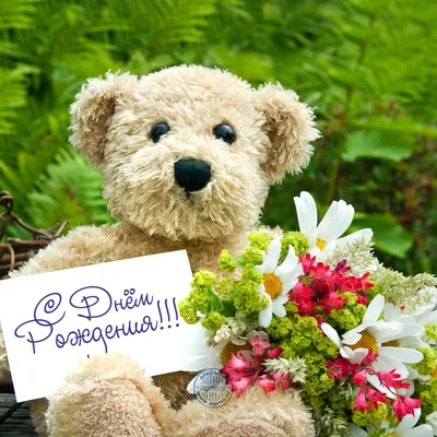 Сегодня мы поделимся с вами фразами и выражениями для поздравления с Днем  рождения на немецком языке! Знать их очень полезно и тем, кто живет в  Германии, и тем, у кого есть немецкие