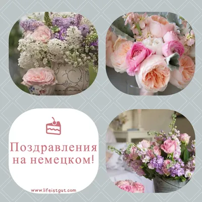 на немецком языке поздравления для внучки с днем рождения｜Пошук у TikTok