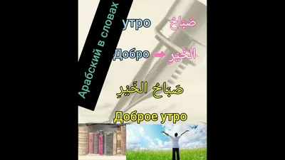 Доброе утро говорит по арабски PNG , Доброе утро на арабском, доброе утро, Доброе  утро PNG картинки и пнг рисунок для бесплатной загрузки
