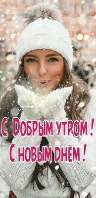 Пин от пользователя Ольга на доске Доброе утро! | Доброе утро, Утренние  цитаты, Красивые розы