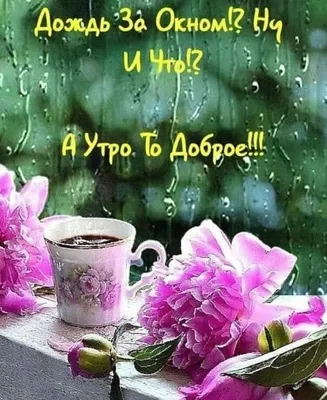 Хочу скачать видео с доброе утро родная｜Поиск в TikTok