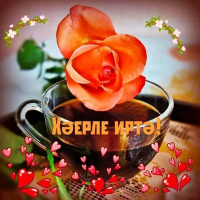 Мария Мир — профиль пользователя в Шедевруме