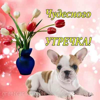С добрым утром!Завтрак подан)))…» — создано в Шедевруме