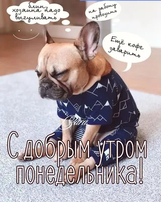 Открытки \"Доброе утро!\" (700+)