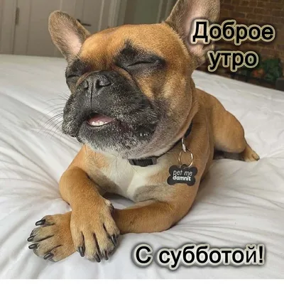 Открытки \"Доброго утра!\" в субботу (100+)