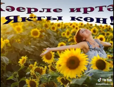 Картинки хәерле иртә красивые на татарском с цветами (70 фото) » Картинки и  статусы про окружающий мир вокруг