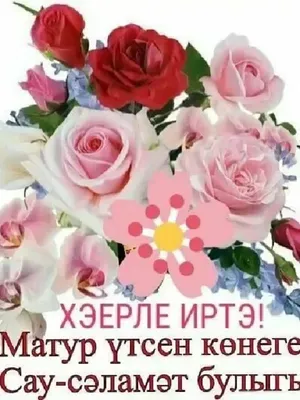 на татарском языке доброе утро｜TikTok Search