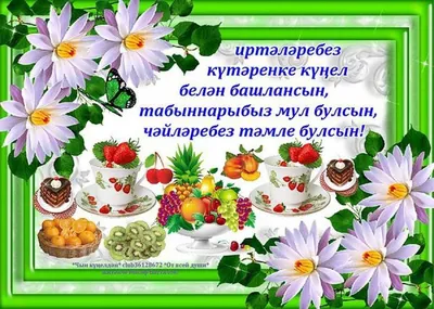 https://pohod.club/otkritky/16304-otkrytki-s-dobrym-utrom-tatarskie-zimnie-40-foto.html