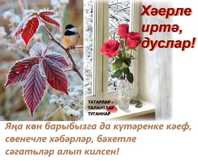 САБА ШЕРИФИНЪИЗ ХАЙЫРЛЫ ОЛСУН! | Язык, Сабо, Доброе утро