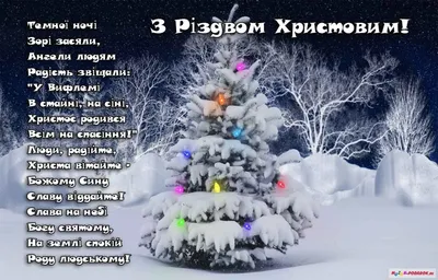 Картинки с Рождеством 2020 – поздравления с Рождеством Христовым