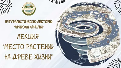 Модный Приговор - 10 СПОСОБОВ ДОБИТЬСЯ ВЗАИМНОСТИ Намек 1 (трогательный).  Основной инстинкт, который объединяет нашедших друг друга половинок, в  общем-то уже подразумевает то, что вас друг к другу тянет. На языке науки