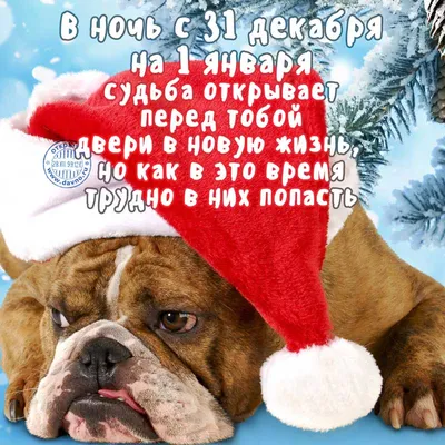 Клуб пенсионерок-любительниц Стр.454 :: Клубная жизнь :: Дамский клуб LADY