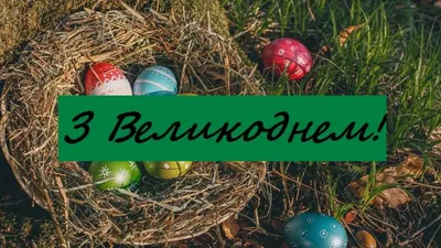 Как украинские звезды проводят Пасху: у кого самые красивые паски, крашанки  и наряды - Караван