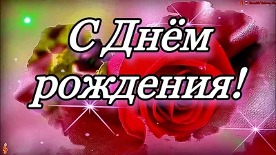 С днем рождения женщине - поздравления, открытки и картинки - Главред