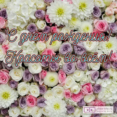 Открытка С Днем Рождения мини №14
