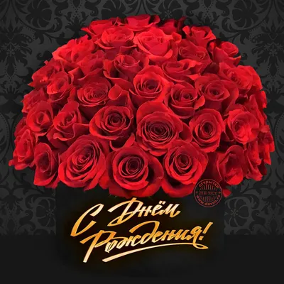 Открытки с Днем рождения с белыми розами: 39 штук
