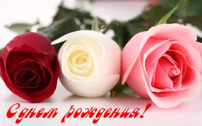 Открытки с днем рождения женщине. Страница 2.