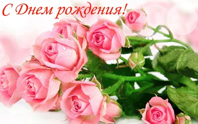 Картинка с розами и шампанским на День рождения Веронике