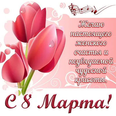 Выгонка тюльпанов к 8 марта в домашних условиях: как вырастить тюльпаны к 8  марта, когда сажать, какие луковицы выбрать | Houzz Россия