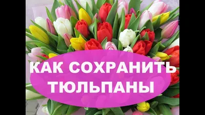 Цветочный этикет, или О чём расскажет ваш букет 8 Марта - Лайфхакер