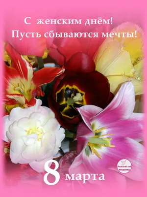 Картинка Картинка с тюльпанами к 8 марта » Картинки 8 марта скачать  бесплатно (177 фото) - Картинки 24 » Картинки 24 - скачать картинки  бесплатно