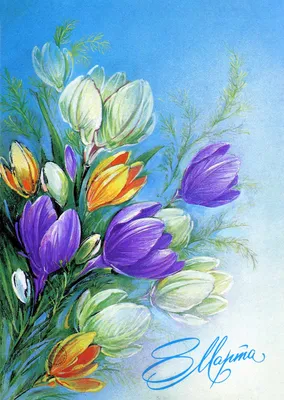 Какие цветы подарить жене, девушке, маме и бабушке на 8 Марта